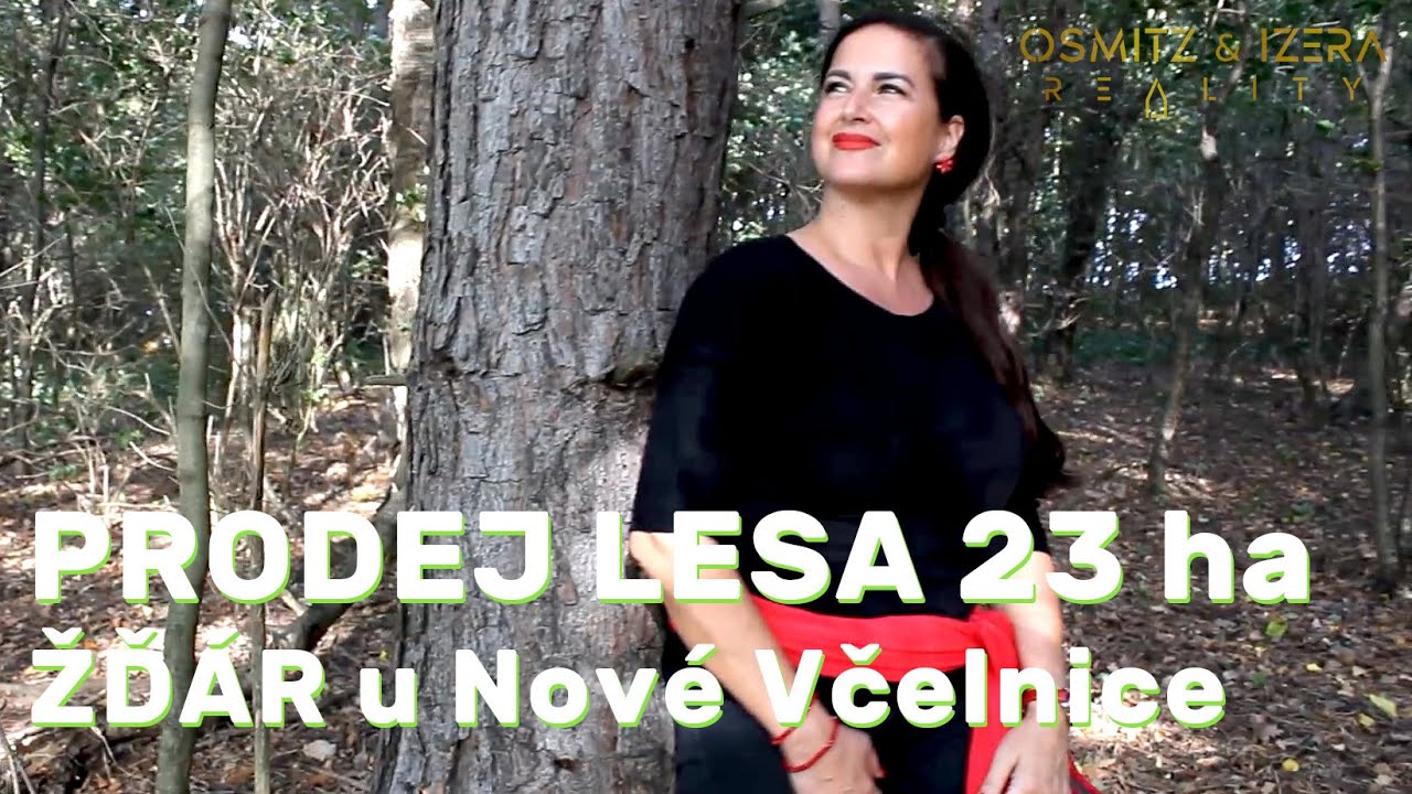 Prodej lesa 23 ha, Žďár u Nové Včelnice